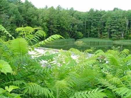 Description: C:\Users\John\Desktop\My Web Sites\images\Maine\DSCF2748_243.jpg