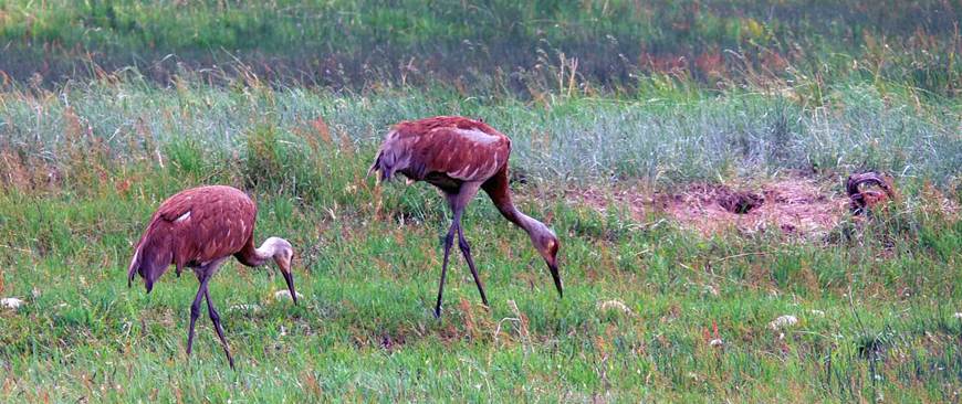 Description: C:\Users\John\Desktop\My Web Sites\images\Scanned Pictures\wyoming\P1010415.JPG