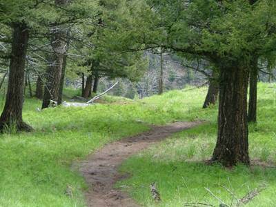 Description: C:\Users\John\Desktop\My Web Sites\images\Scanned Pictures\yellowstone\DSCF8309.JPG