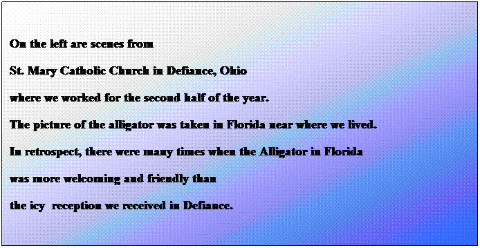 Text Box: On the left are scenes from 
St. Mary Catholic Church in Defiance, Ohio 
where we worked for the second half of the year. 
The picture of the alligator was taken in Florida near where we lived.
In retrospect, there were many times when the Alligator in Florida 
was more welcoming and friendly than
the icy  reception we received in Defiance.
